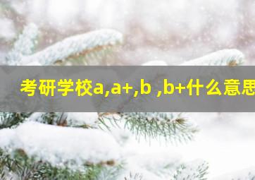 考研学校a,a+,b ,b+什么意思